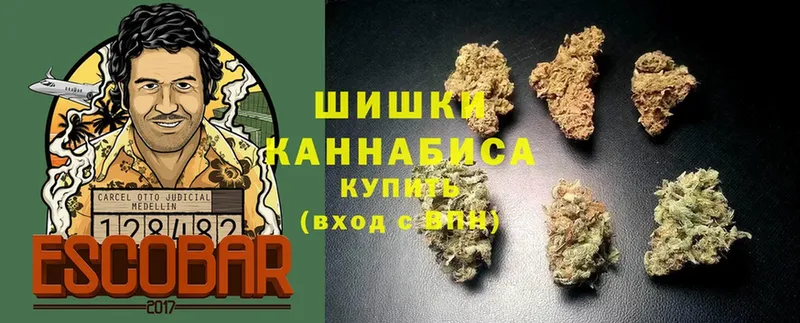 Бошки марихуана THC 21%  MEGA ссылки  Искитим  как найти закладки 